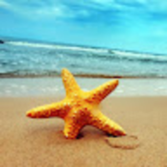 Meet your Posher, Meredith - Picture 1 of 1